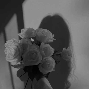 عکس 𝒷𝒾ℴℊ𝓇𝒶℘ℎ𝒴🤡