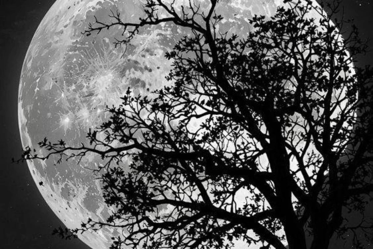 عکس 𝒷𝒾ℴℊ𝓇𝒶℘ℎ𝒴🤡