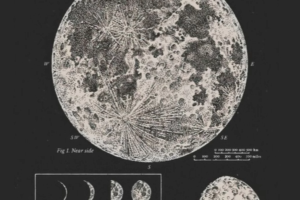 عکس انیمه؟ سلول ها در حال کار؟