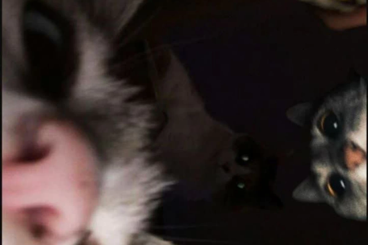 عکس تئوری های ترسناک در مورد"خواب."