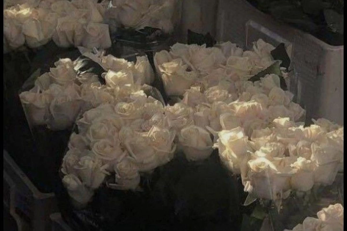 عکس حقایق جالبی که شاید نمیدونستی...