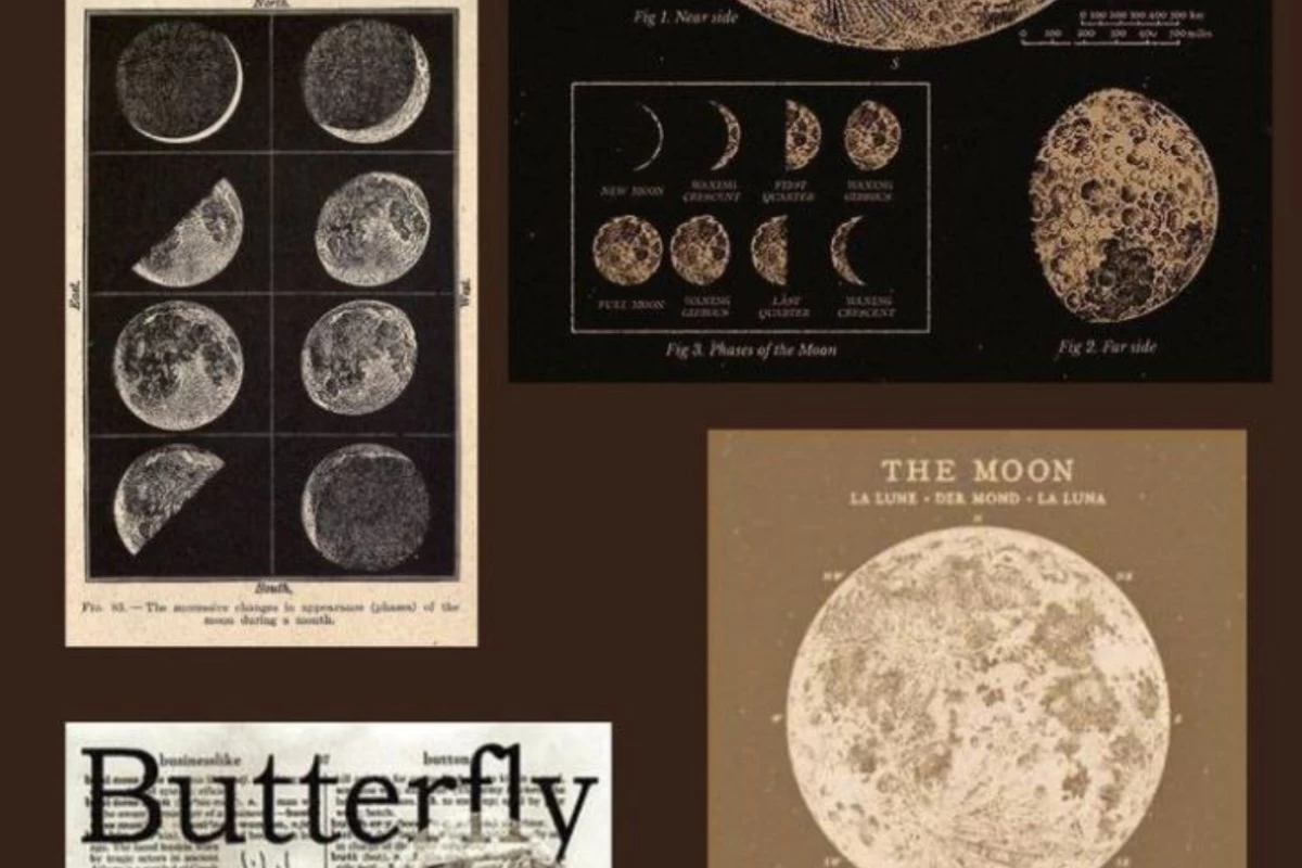 عکس تاریخ و حقیقت در قاب انیمه