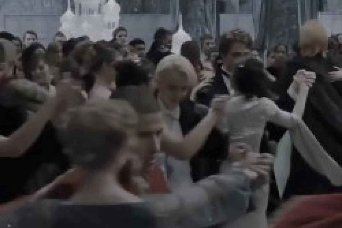 عکس 👀: اندر احوالات یک پاتر هد¡!