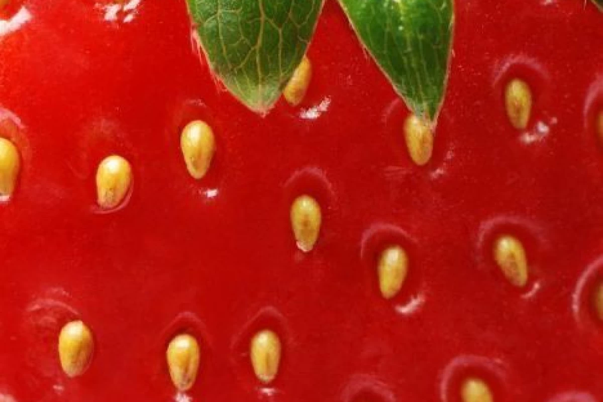 عکس واقعیت اینه که!فان