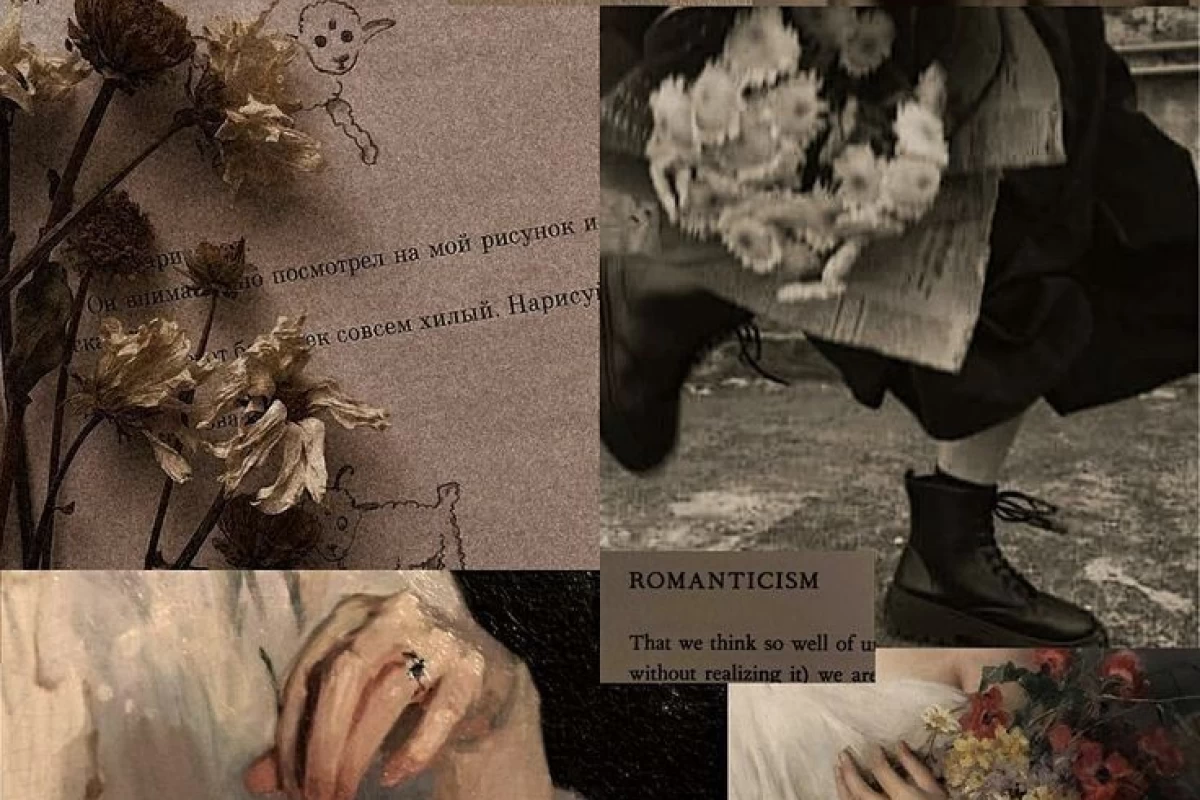 عکس بلیتِ بَخت ↪