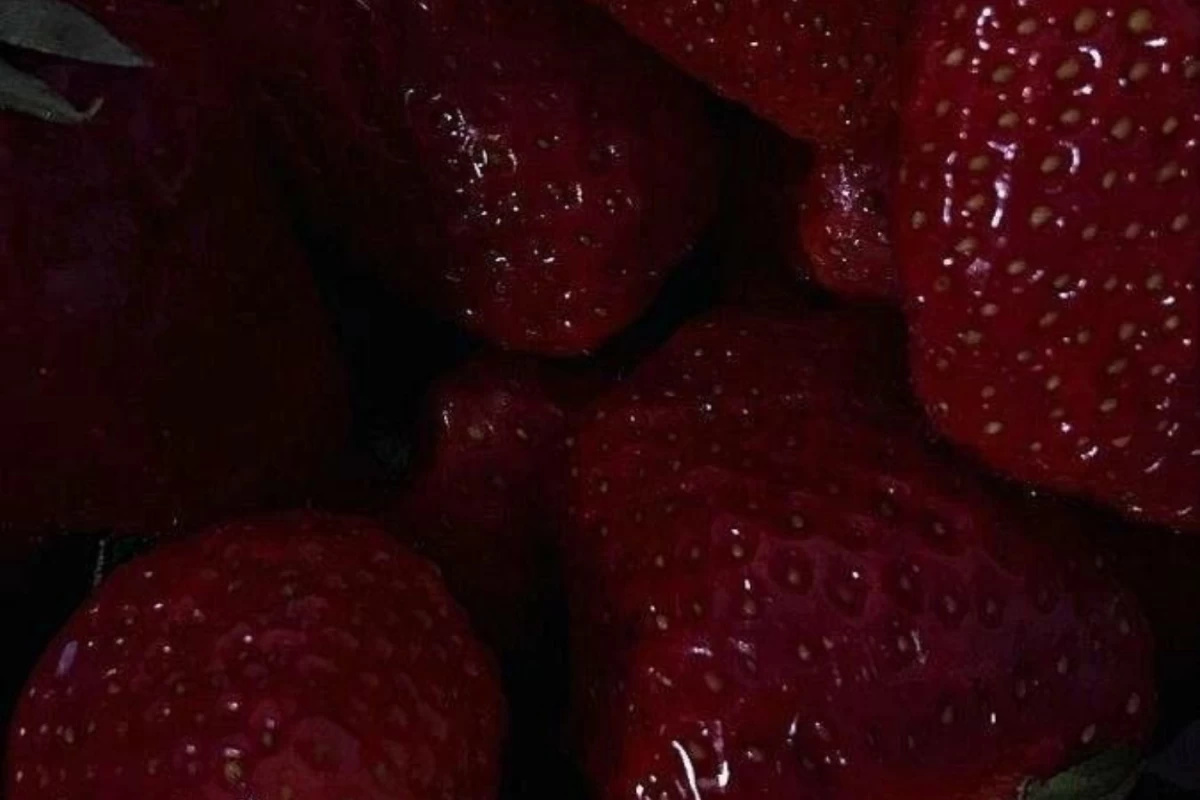 عکس وا معلومه من برای کسی گربه نمیشم