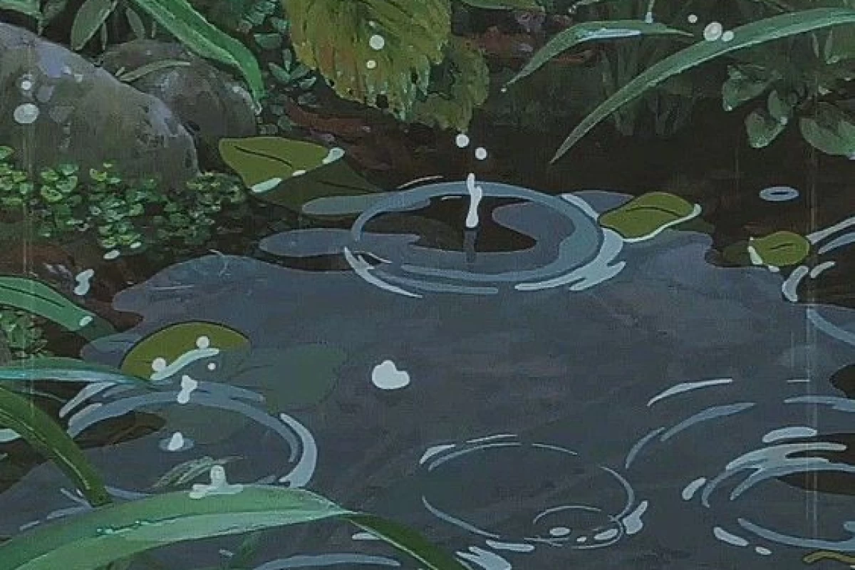 عکس ۵ گیاه که برای گربه ها سمی هستند