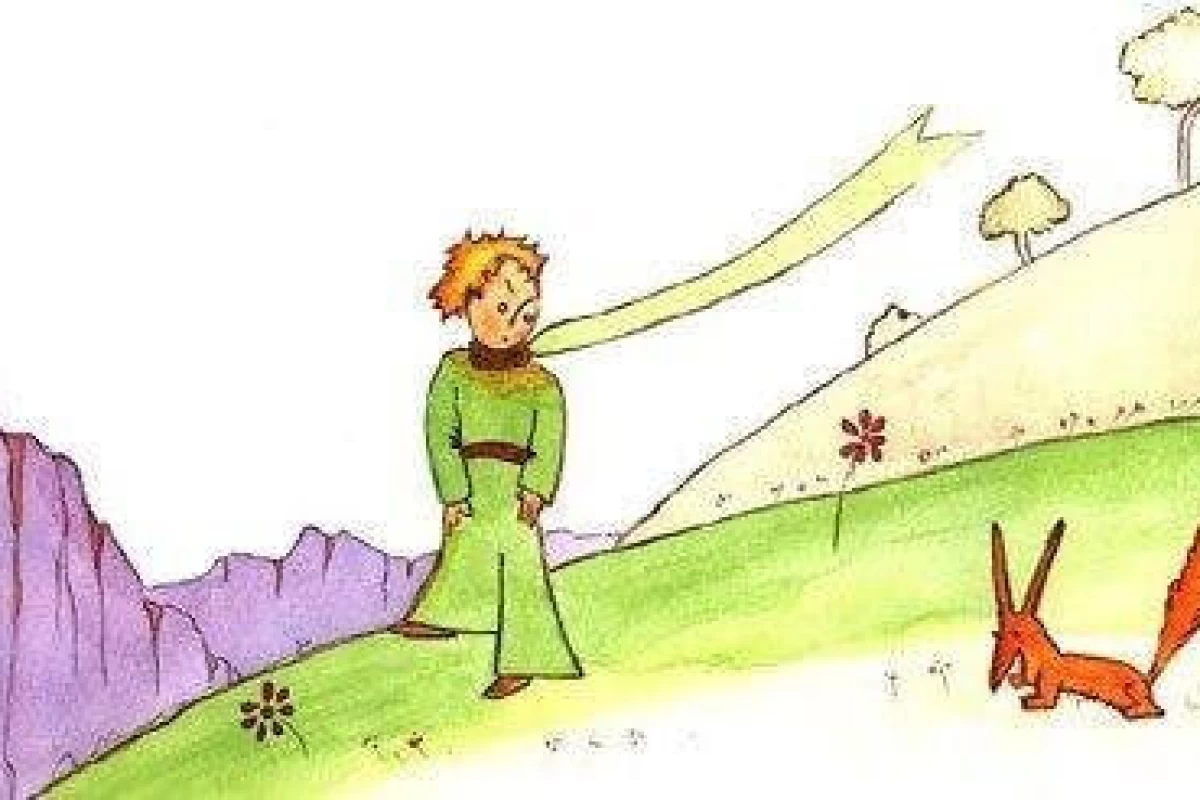 عکس دیالوگ های ماندگار از شازده کوچولو به ما چه چیزی یاد میدهد؟