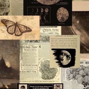 عکس حقایق جالب درمورد ایرانیان باستان