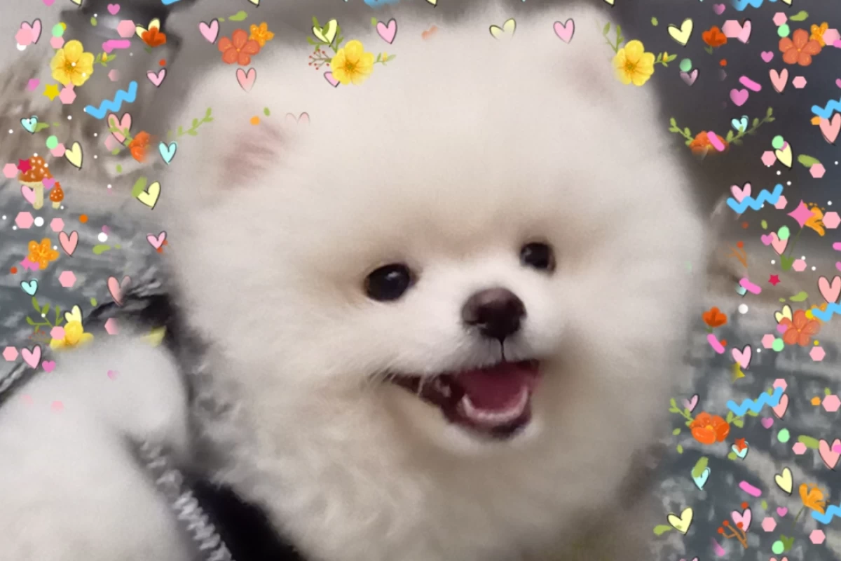 عکس من بچه ی بزرگ خانواده ام افکورس