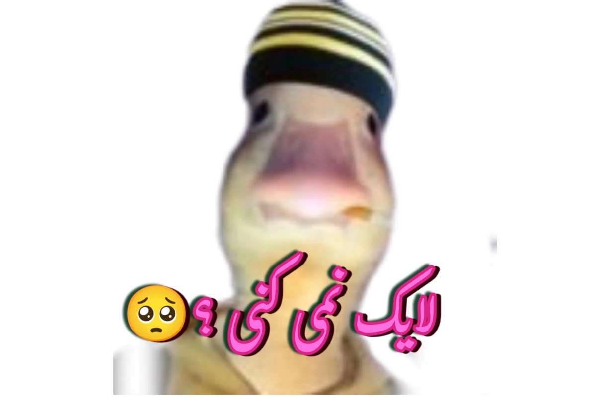 عکس جدی میفرمایید ؟