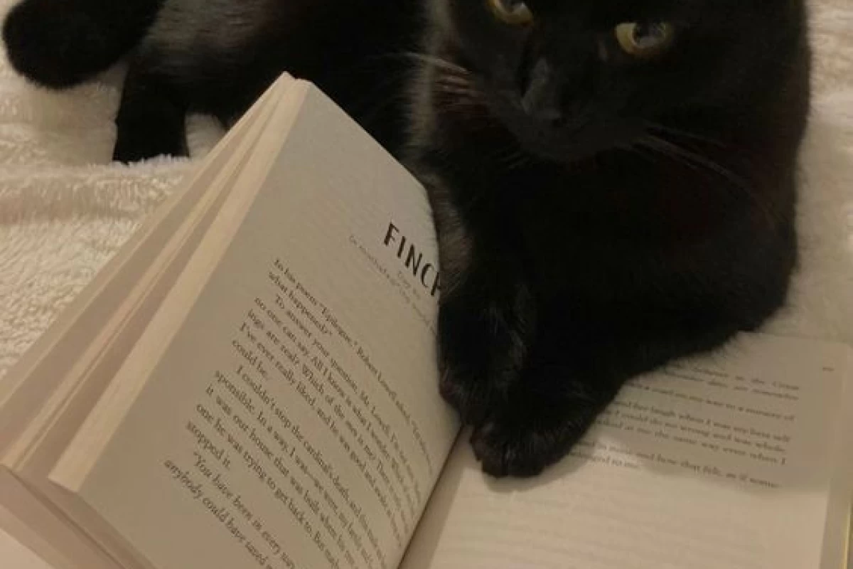 عکس ~برای کتاب دوست های عزیز☆