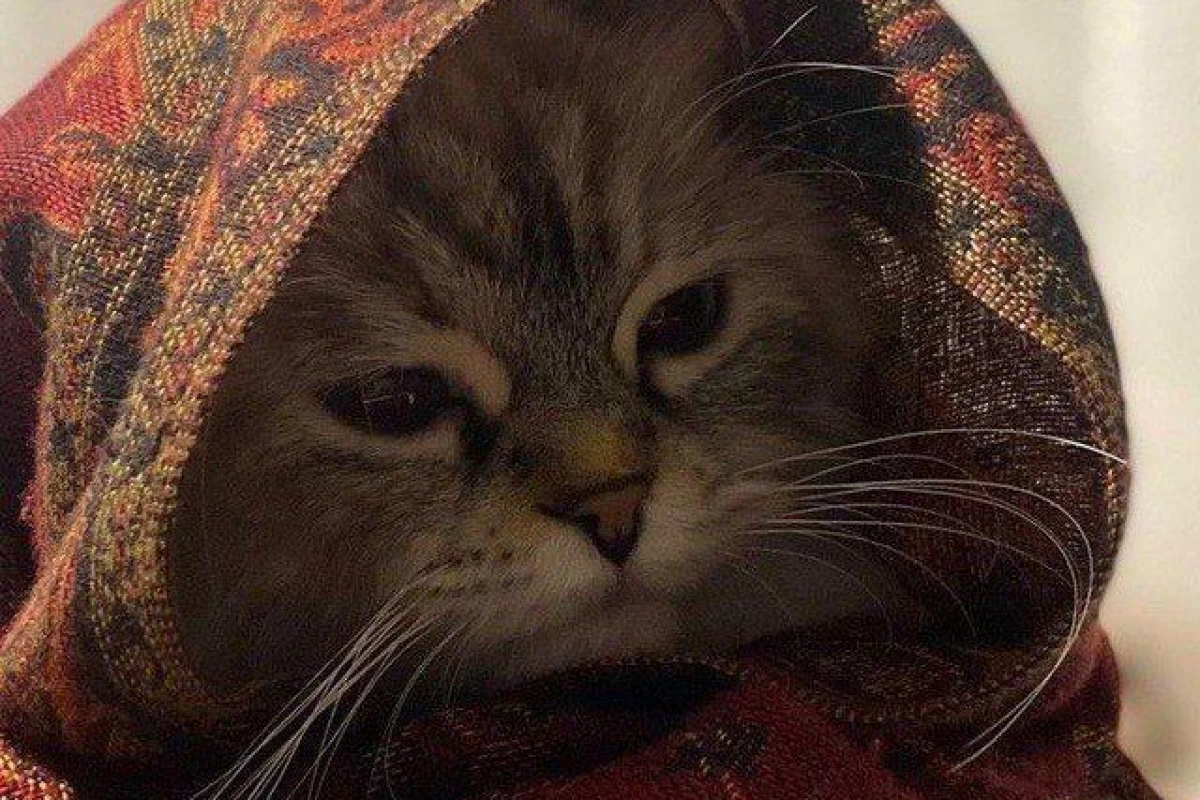 عکس کاربر ها عنصر شیمیایی شدن