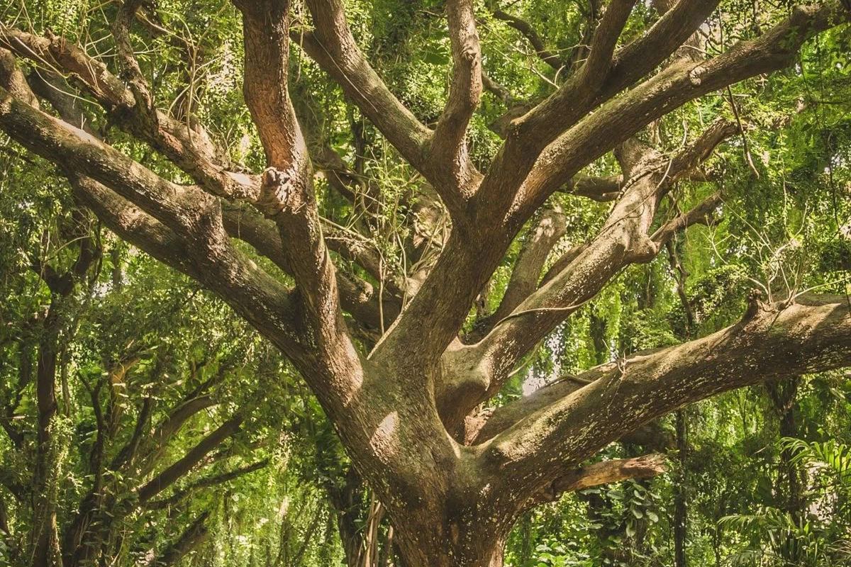 عکس چقدر از تاریخ بلدی؟!