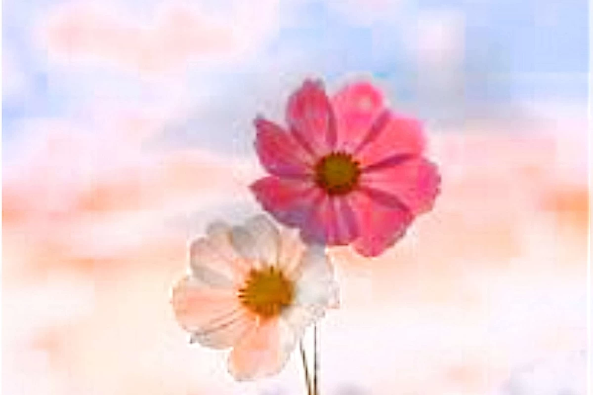 عکس خودت تو خونه درستش کن