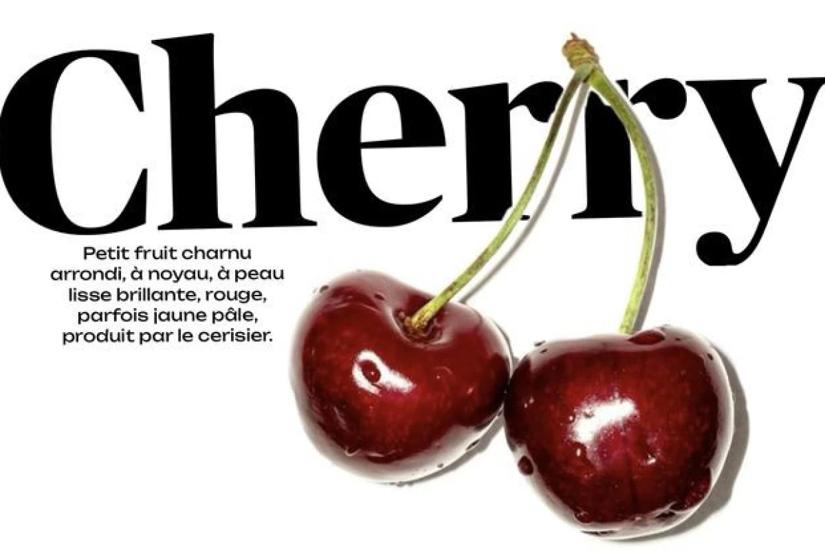 عکس من پیکمیم؟