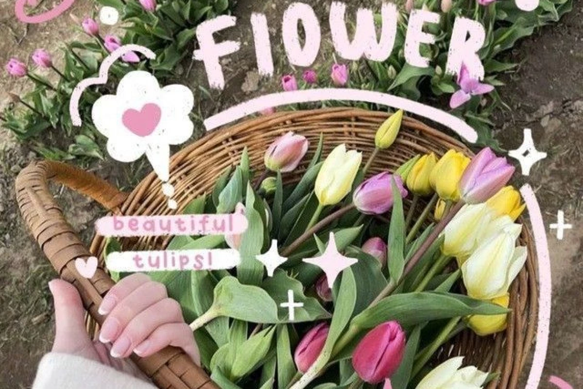 عکس فکت هایی درباره رویا