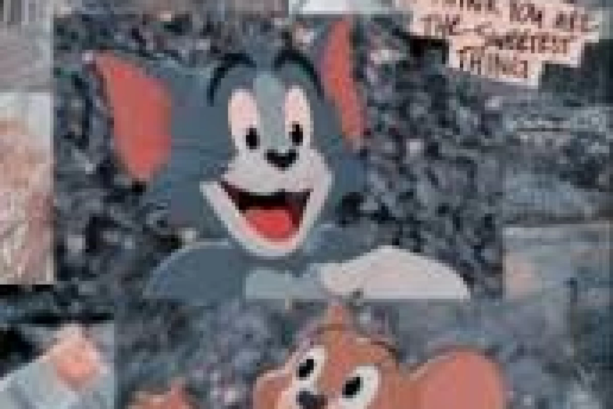 عکس چطور باکلاس باشم