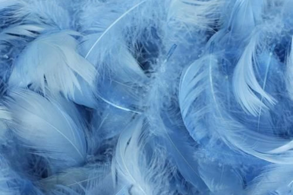 عکس چه طوری درس بخونم؟