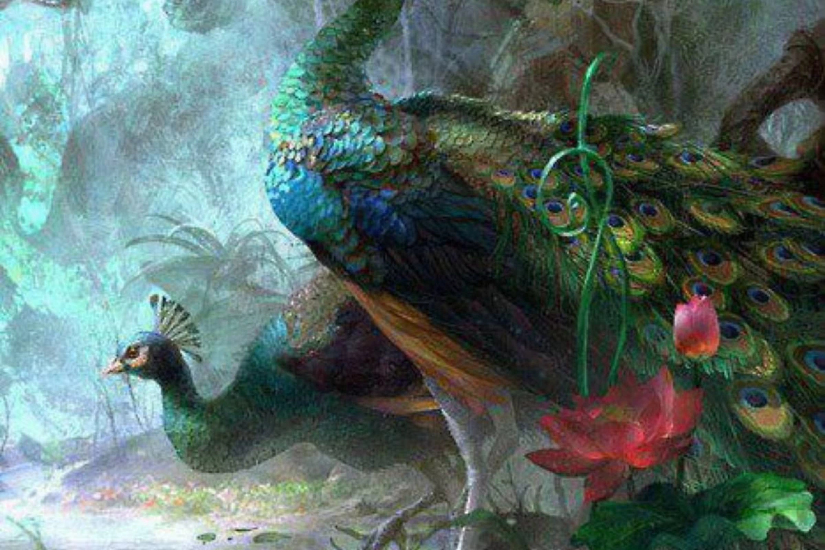 عکس فکت از طاووس ها