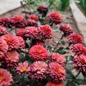 عکس یک روز تعطیل