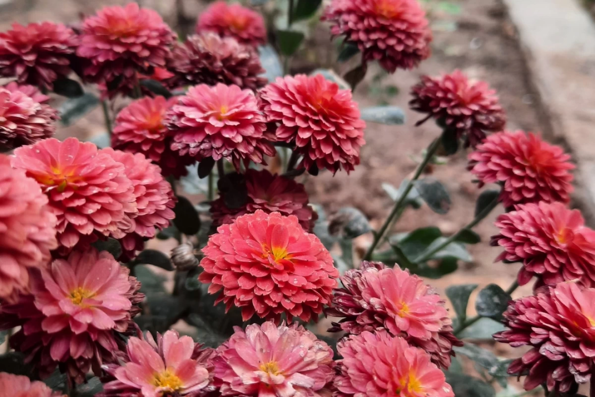 عکس یک روز تعطیل