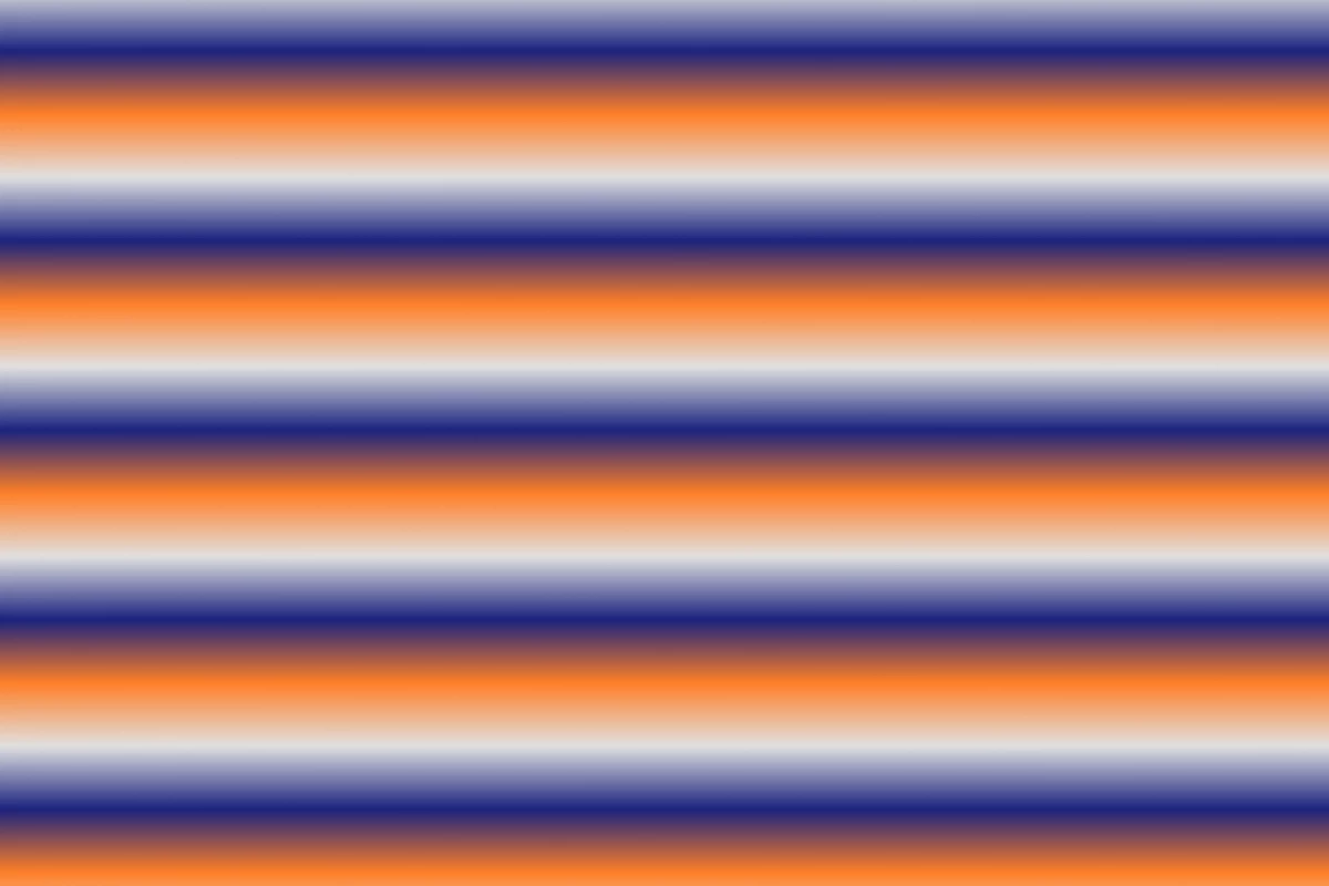 عکس بلک پینک نیوز