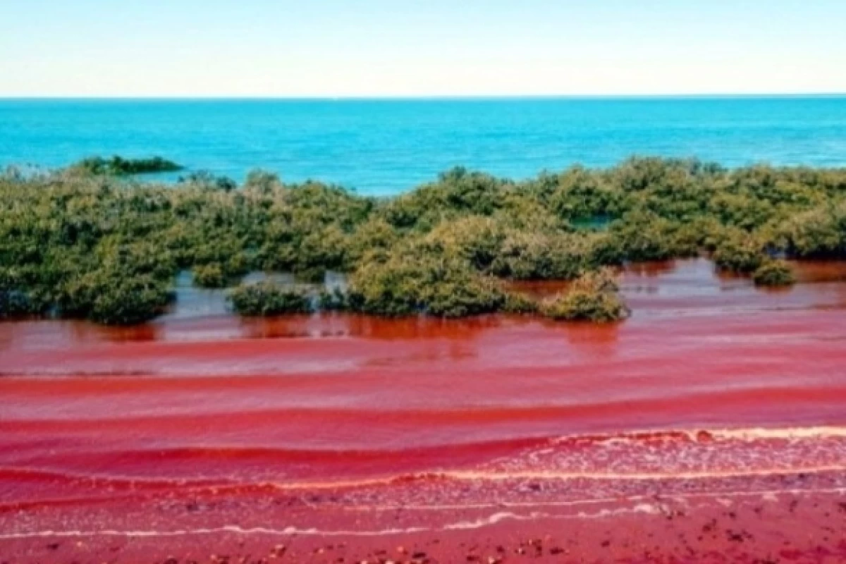 عکس راز آبی که سرخ شد