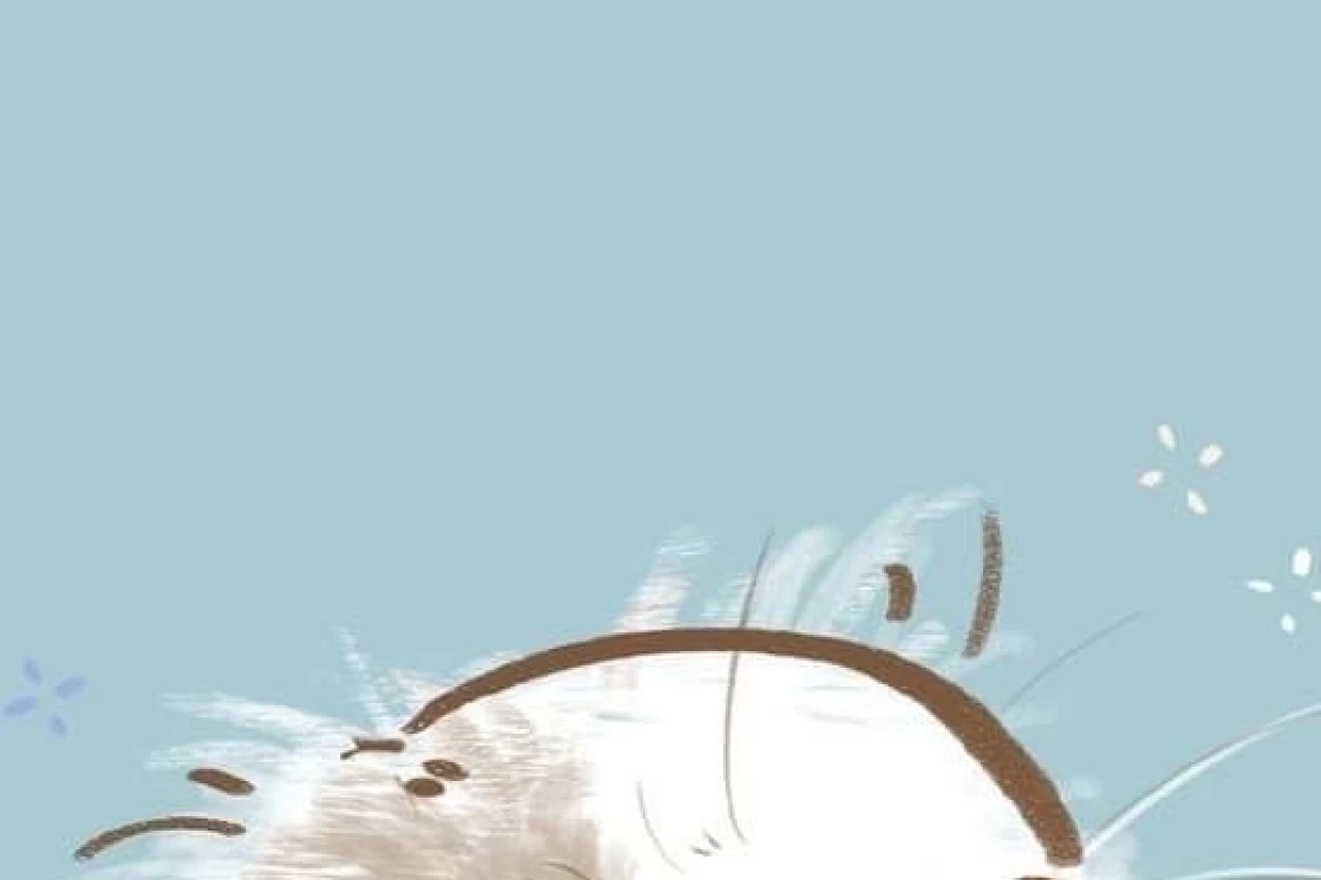 عکس بیوگرافی من