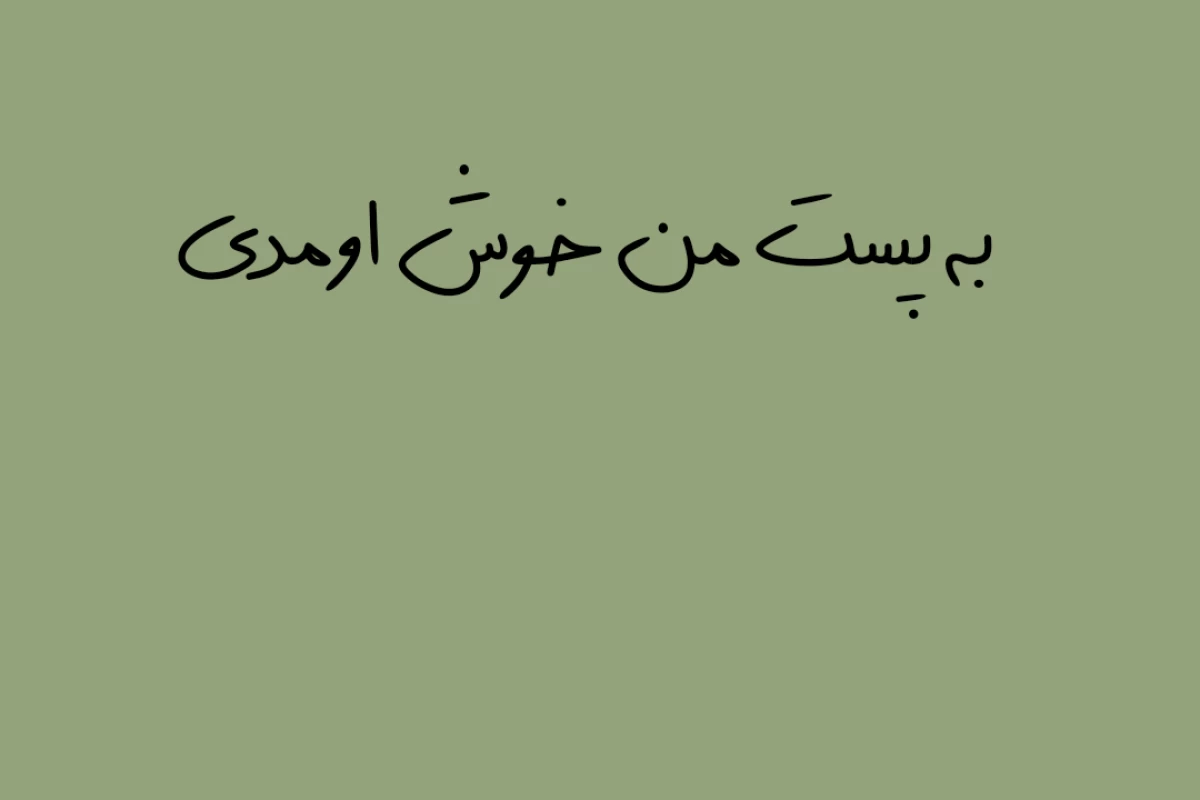 عکس انواع خط در زبان فارسی