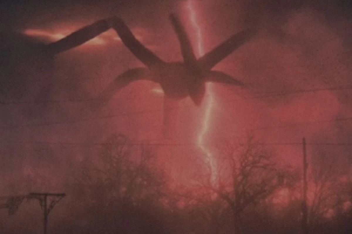 عکس واکنش فن های st به پایان هر فصل