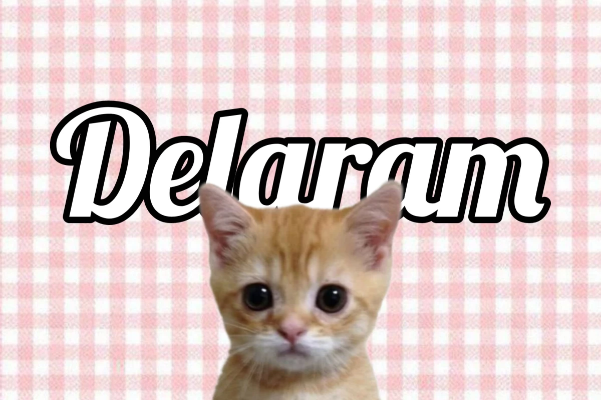 عکس 🌸:گرل تو گرلز