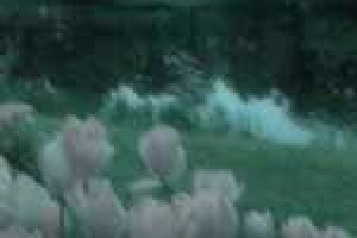 عکس جهت آشنایی با من؛