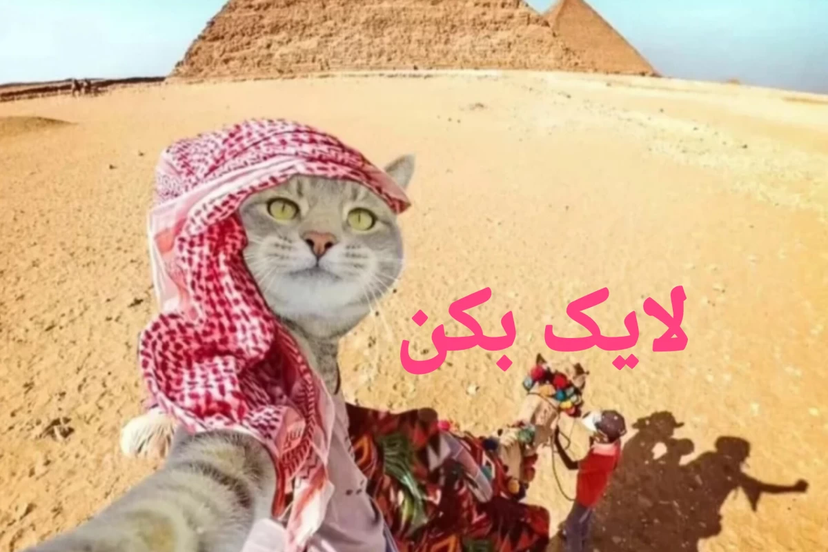 عکس مگه دنیای موازیه!!