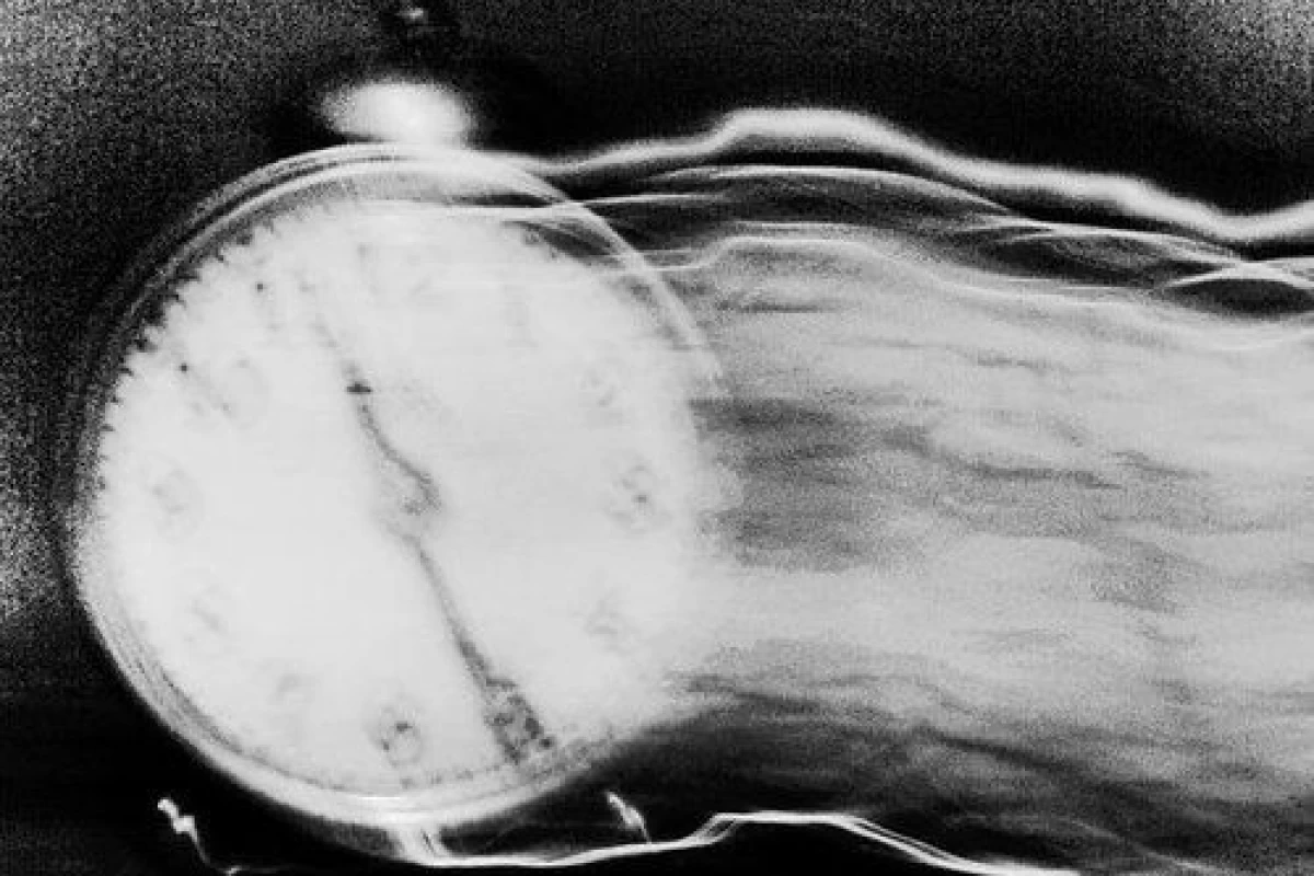 عکس |ارنستو چه گوارا|