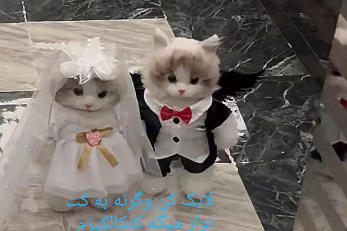 عکس ladyB کیست