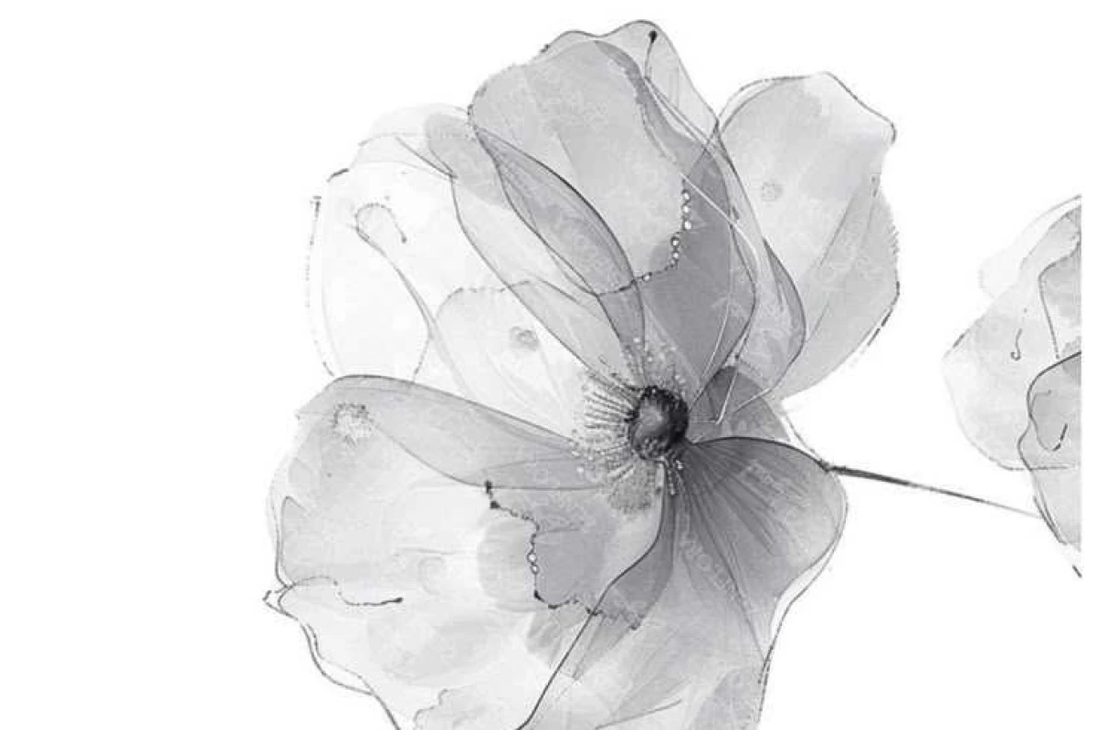 عکس خونتو بچین«شانسیver»