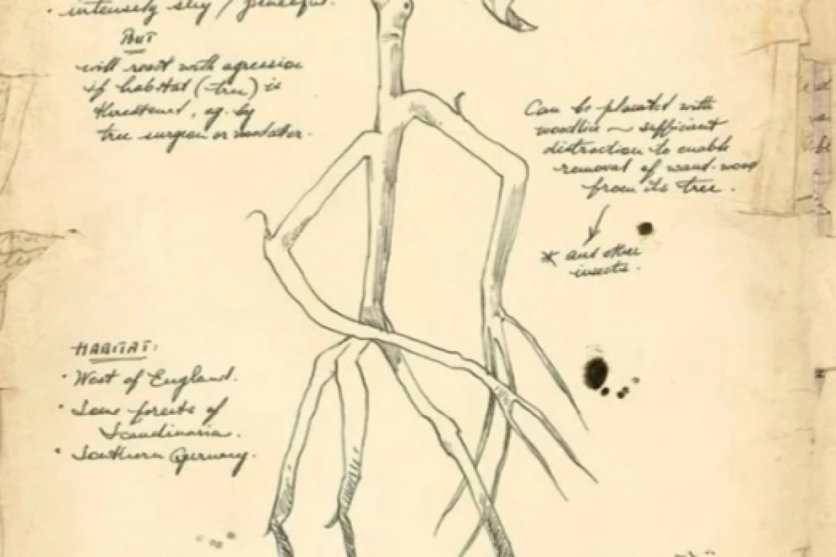 عکس چیزایی که هرکسی نمیدونه