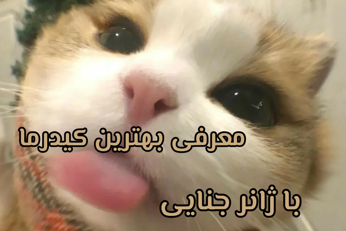 عکس بهترین کیدرامای با ژانر جنایی