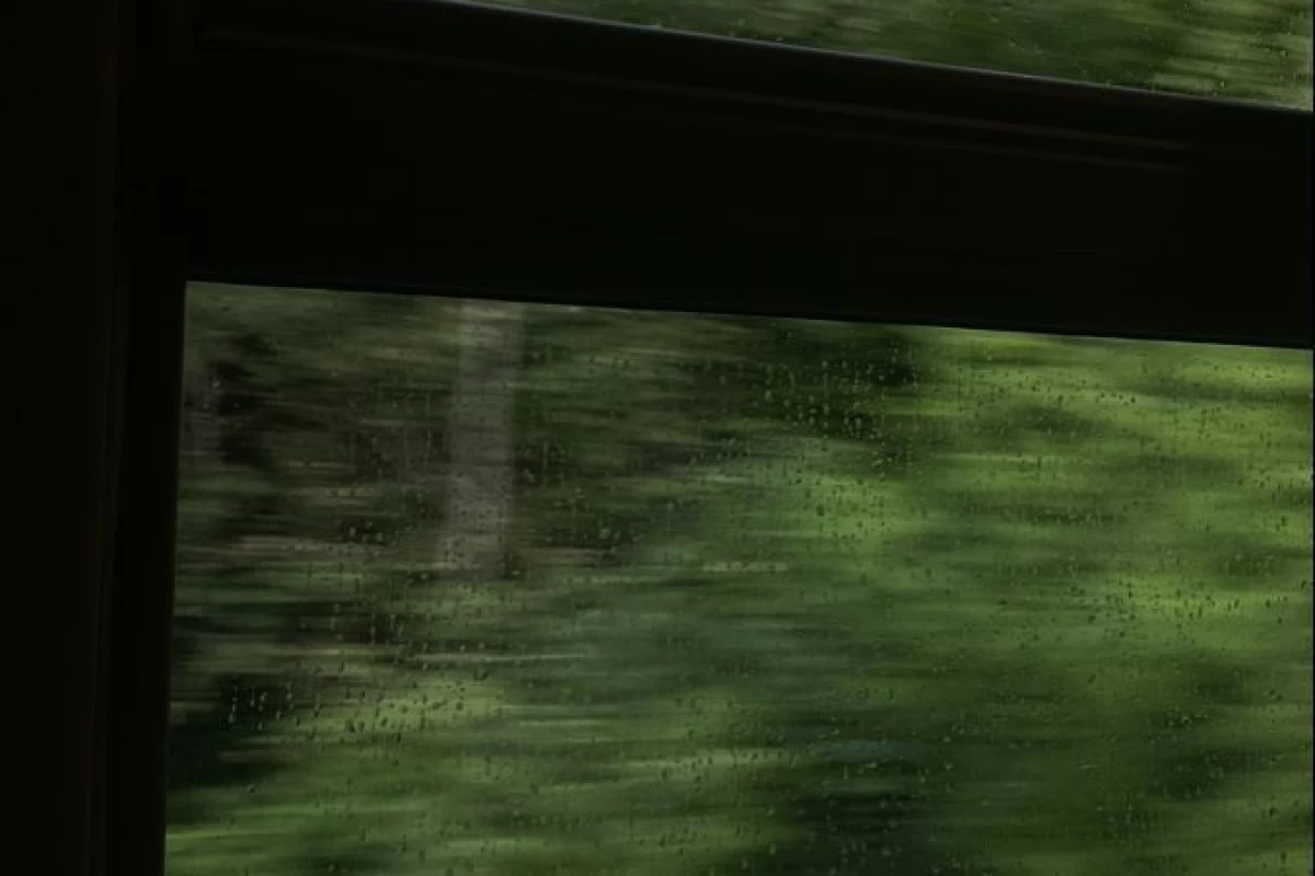 عکس حرف  هایی از infp عزیز💚💚