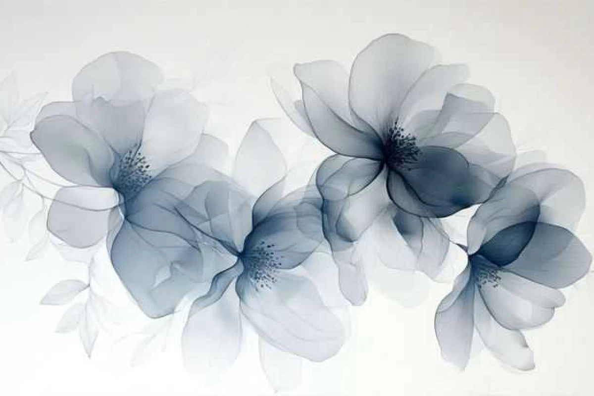 عکس بریم خرید«شانسیver»