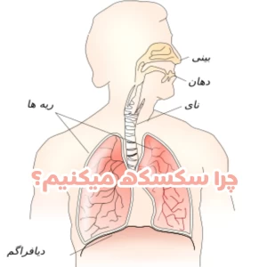 عکس چرا سکسکه میکنیم؟