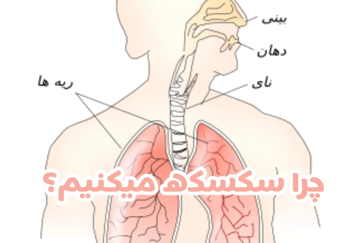 عکس چرا سکسکه میکنیم؟
