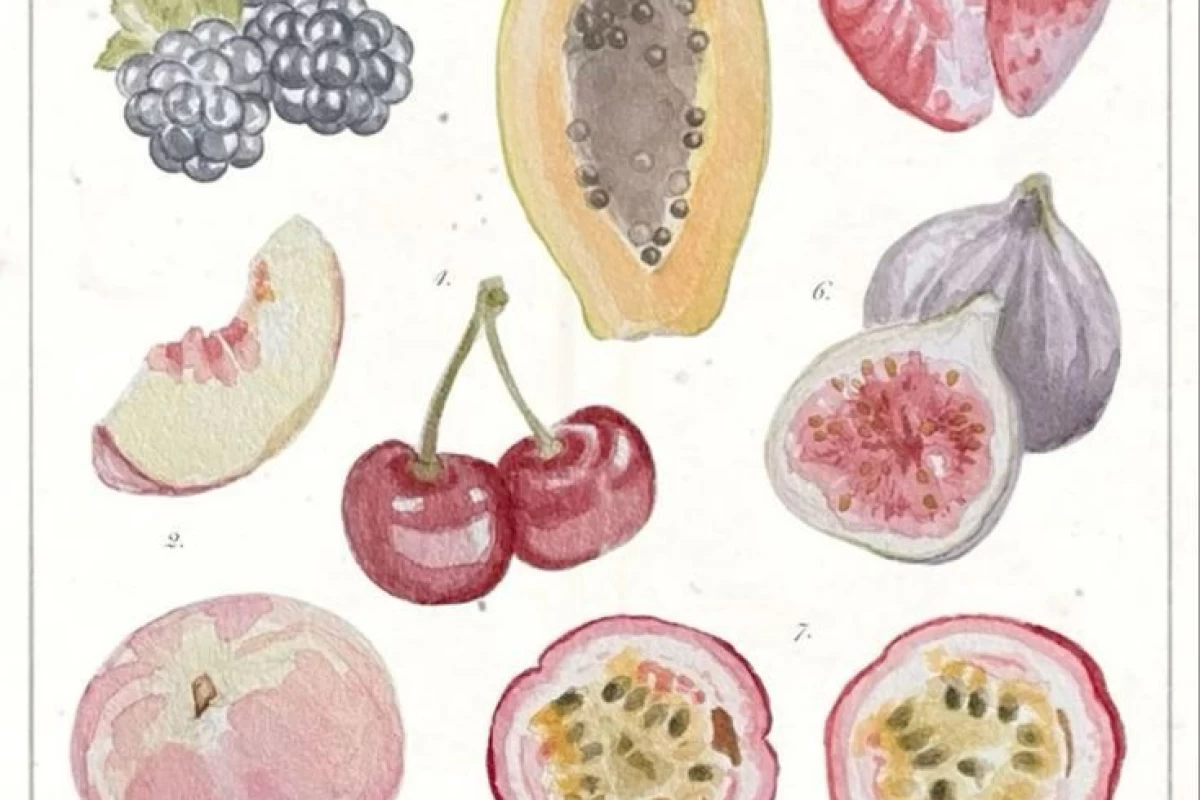 عکس ❕: سه رسپی فوق راحت و سالم