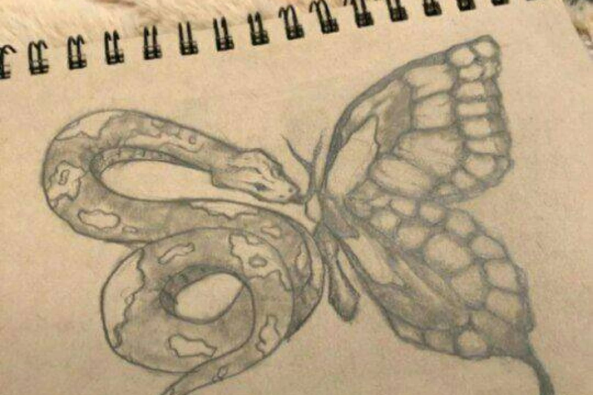 عکس وایب رنگی تو چیه ...؟