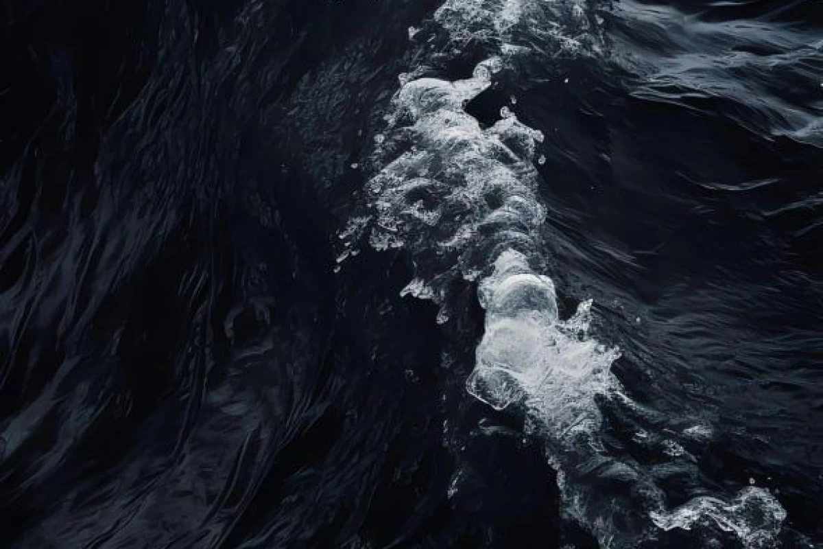 عکس شاید ترست داره نجاتت میده♡