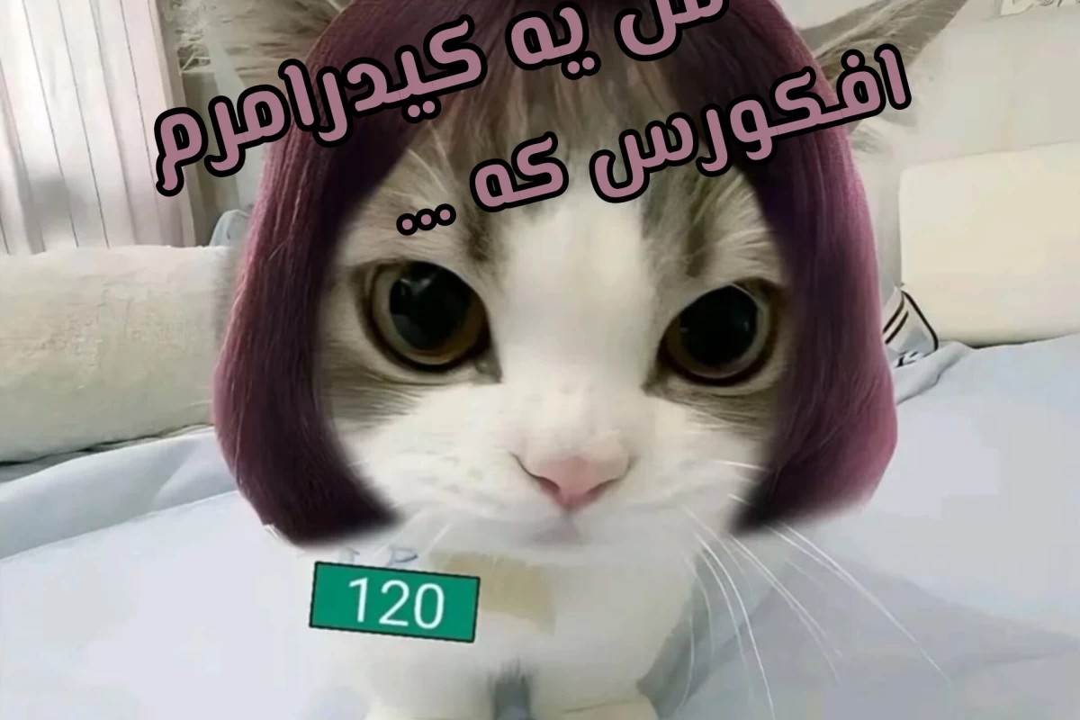 عکس من یه کیدرامرم افکورس که...