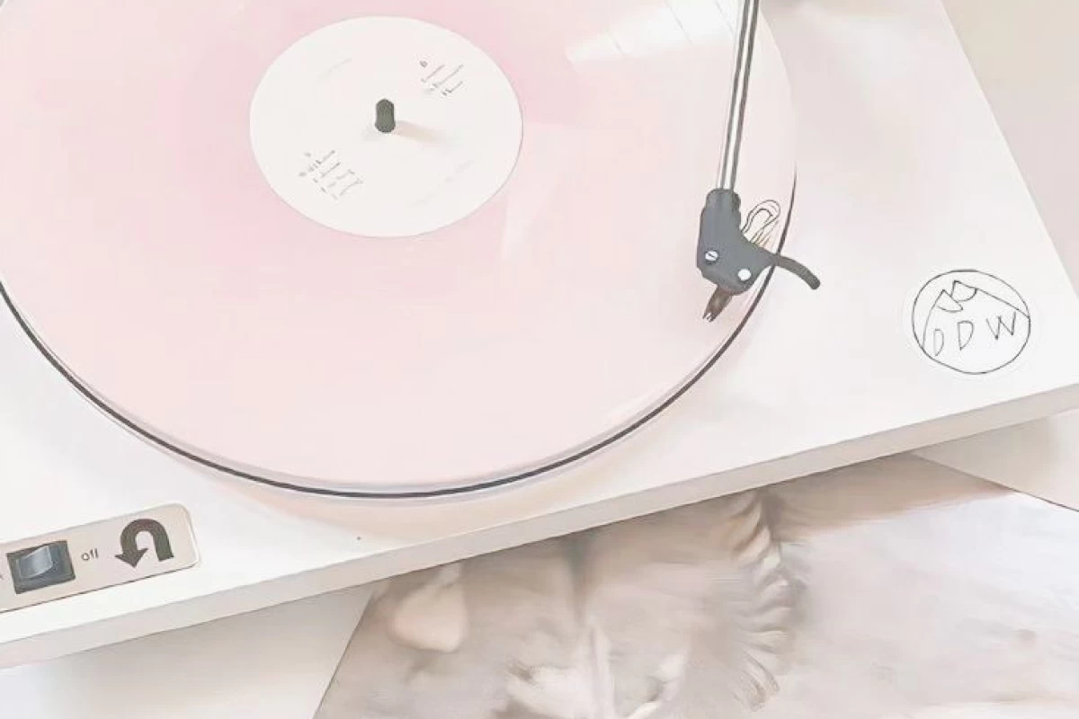 عکس 🎨 : اون میگفت کیپاپره؟