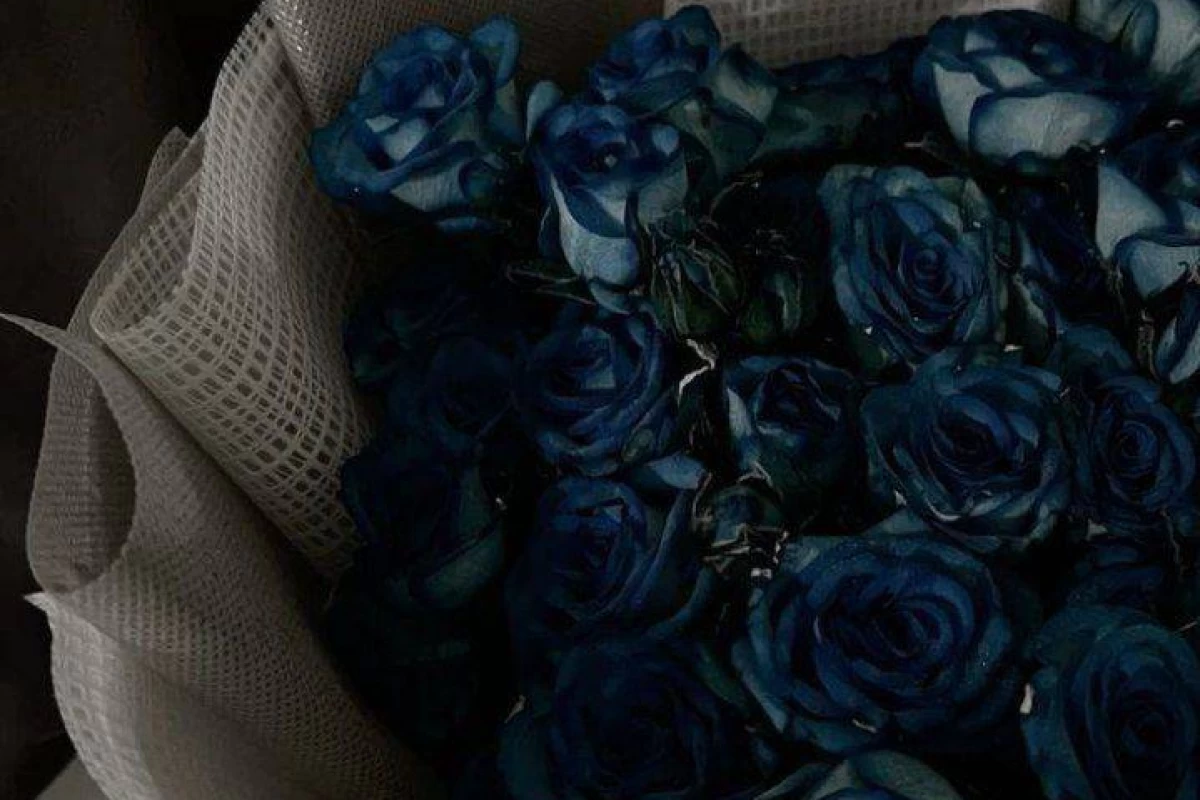 عکس علم روانشناسی ثابت کرده!