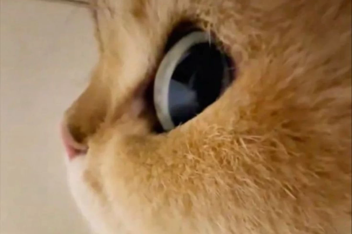 عکس بیوگرافیم